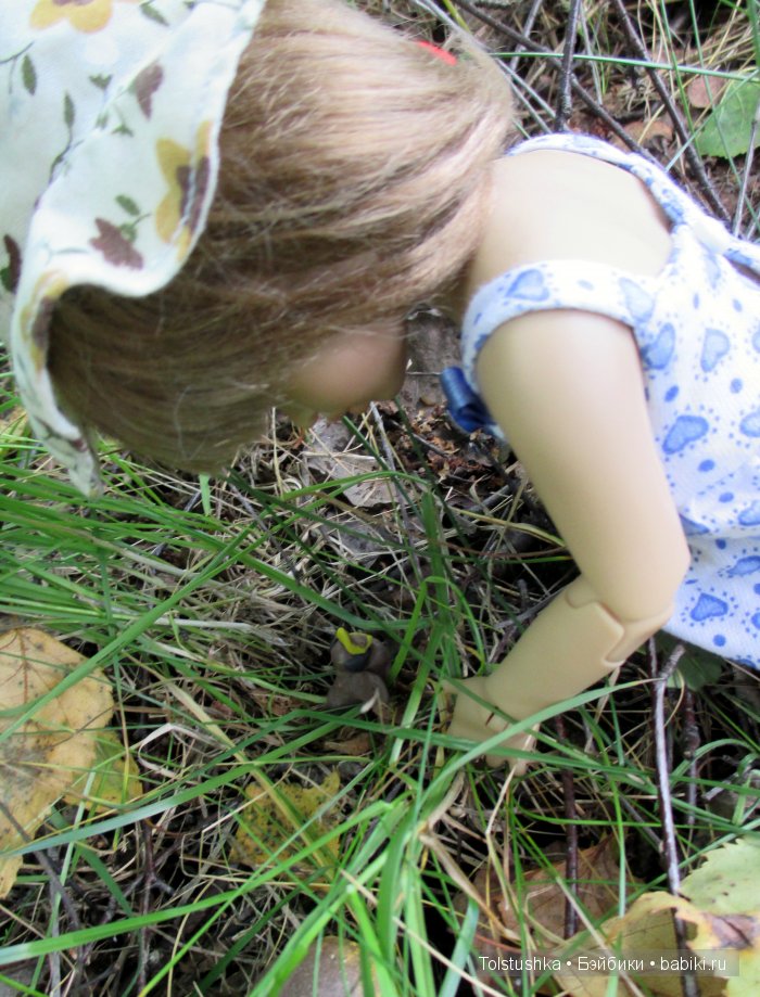 Мой птенчик — Куклы Iplehouse (Иплхаус): BJD (БЖД)