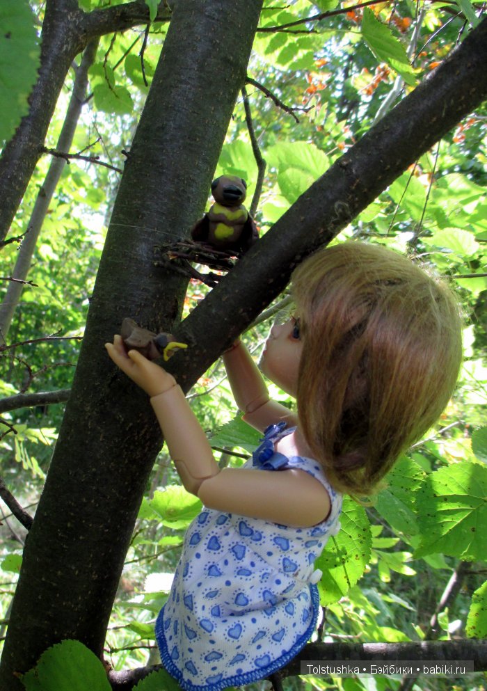 Мой птенчик — Куклы Iplehouse (Иплхаус): BJD (БЖД)