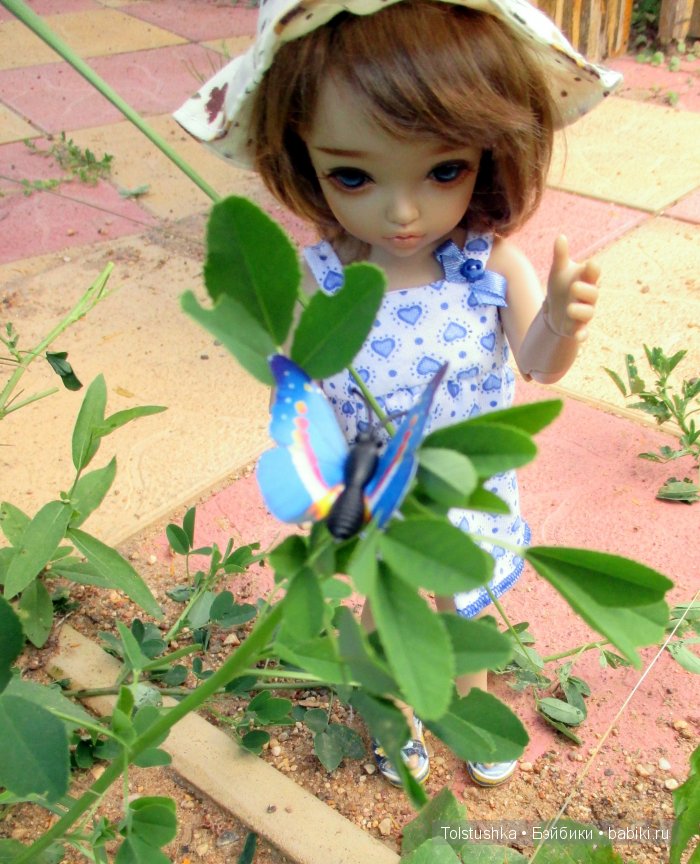 Мой птенчик — Куклы Iplehouse (Иплхаус): BJD (БЖД) (фото 10)