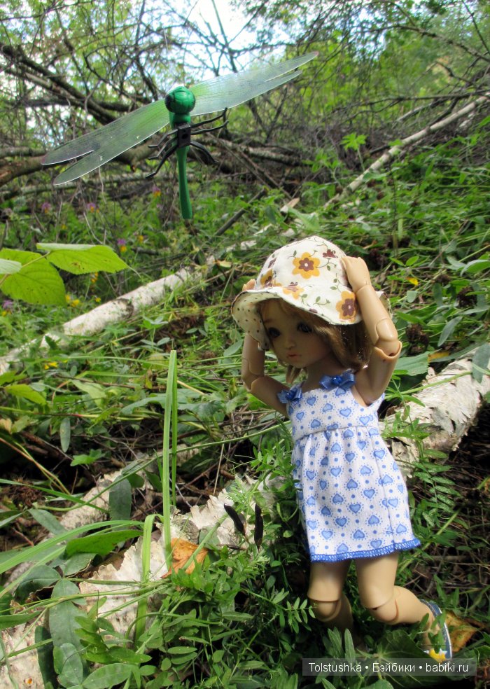 Мой птенчик — Куклы Iplehouse (Иплхаус): BJD (БЖД)