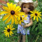 Мой  птенчик.