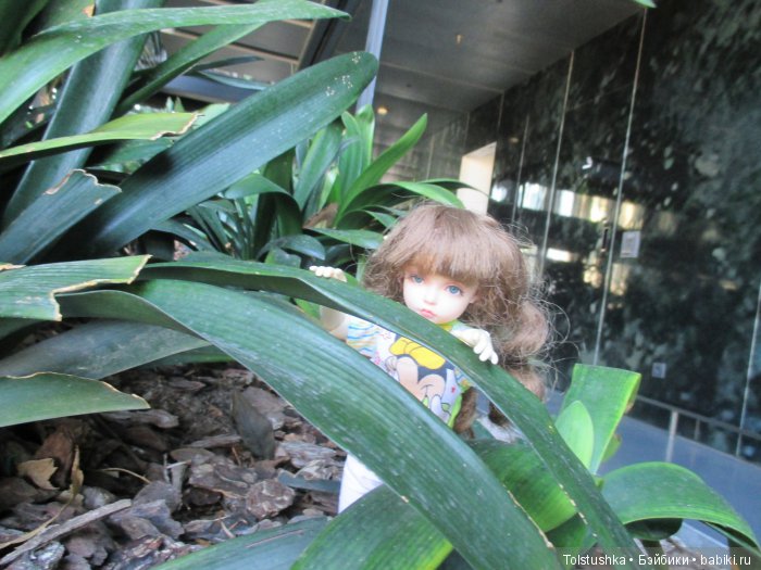 Неудачная поездка — Куклы Iplehouse (Иплхаус): BJD (БЖД)