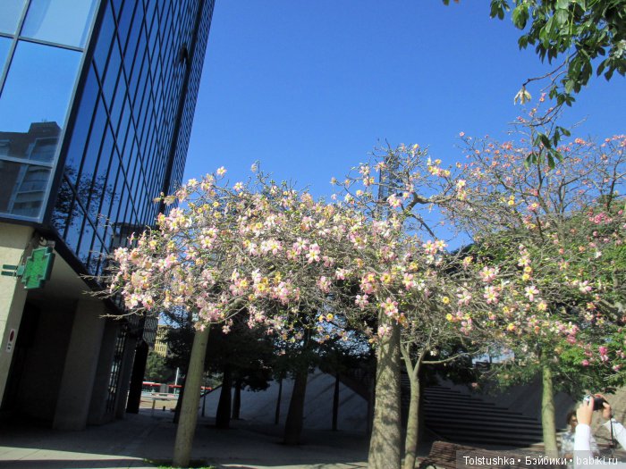 Неудачная поездка — Куклы Iplehouse (Иплхаус): BJD (БЖД) (фото 6)