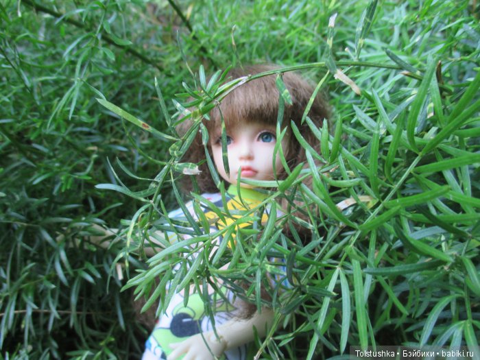 Неудачная поездка — Куклы Iplehouse (Иплхаус): BJD (БЖД)