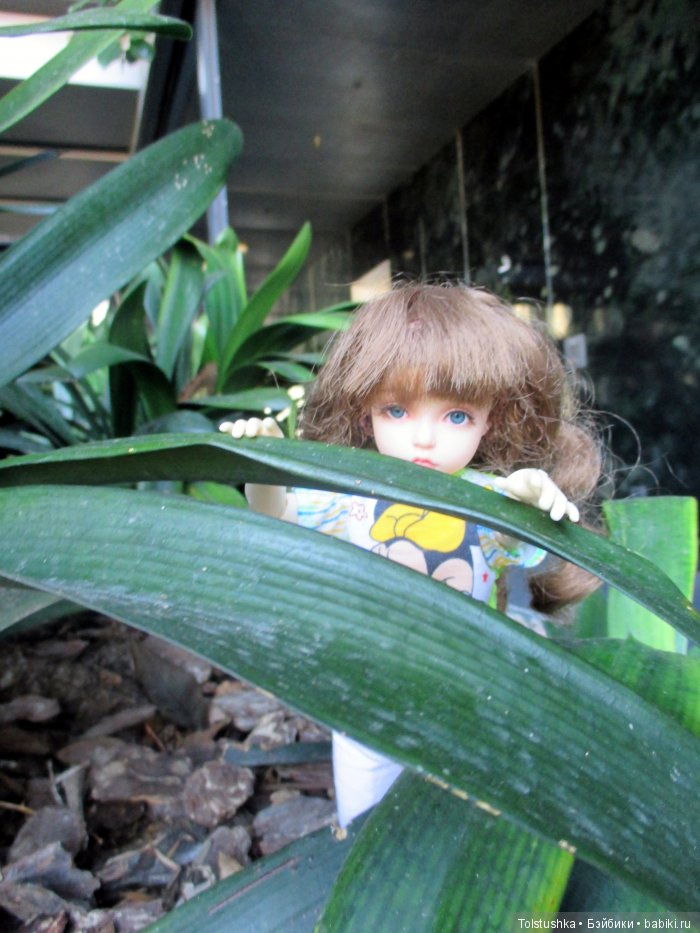 Неудачная поездка — Куклы Iplehouse (Иплхаус): BJD (БЖД)