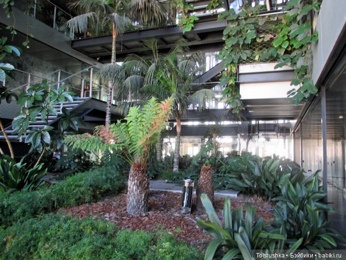 Неудачная поездка — Куклы Iplehouse (Иплхаус): BJD (БЖД)