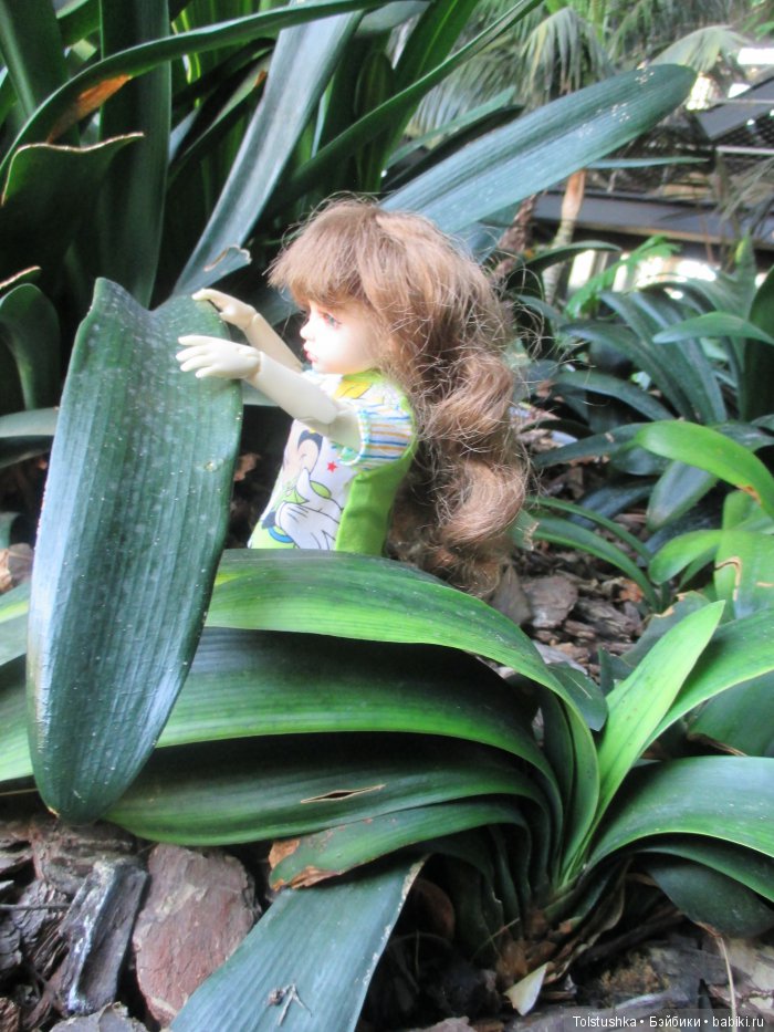 Неудачная поездка — Куклы Iplehouse (Иплхаус): BJD (БЖД)