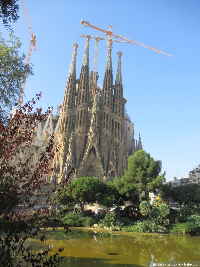 Неудачная поездка — Куклы Iplehouse (Иплхаус): BJD (БЖД)