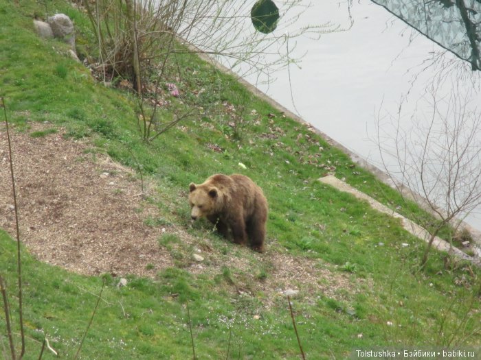 Весенний ветер странствий