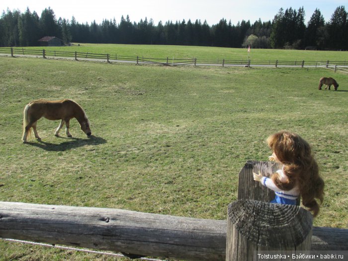 Весенний ветер странствий