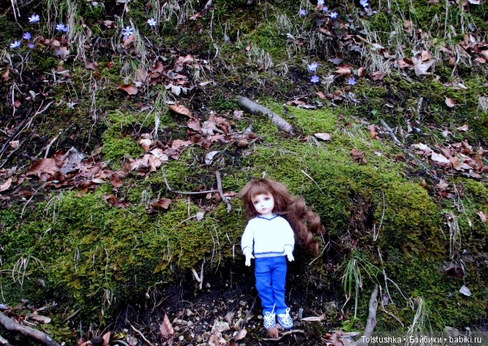 Весенний ветер странствий