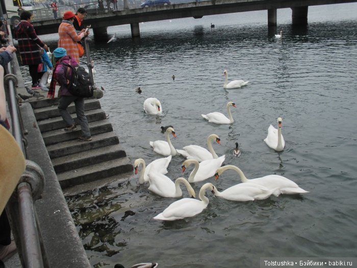 Весенний ветер странствий