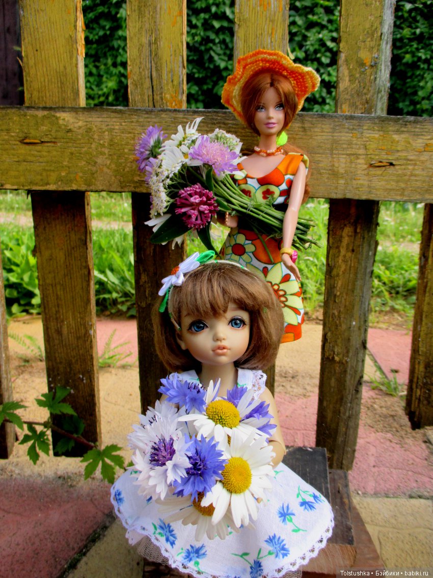 Аленкин День рождения — Куклы Iplehouse (Иплхаус): BJD (БЖД)