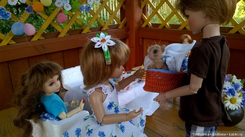 Аленкин День рождения — Куклы Iplehouse (Иплхаус): BJD (БЖД)