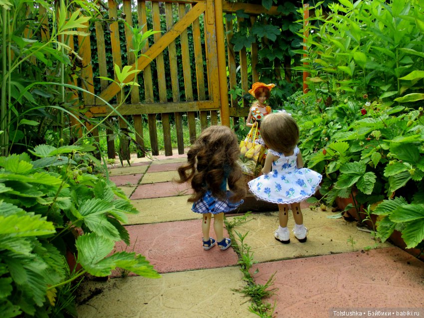 Аленкин День рождения — Куклы Iplehouse (Иплхаус): BJD (БЖД)