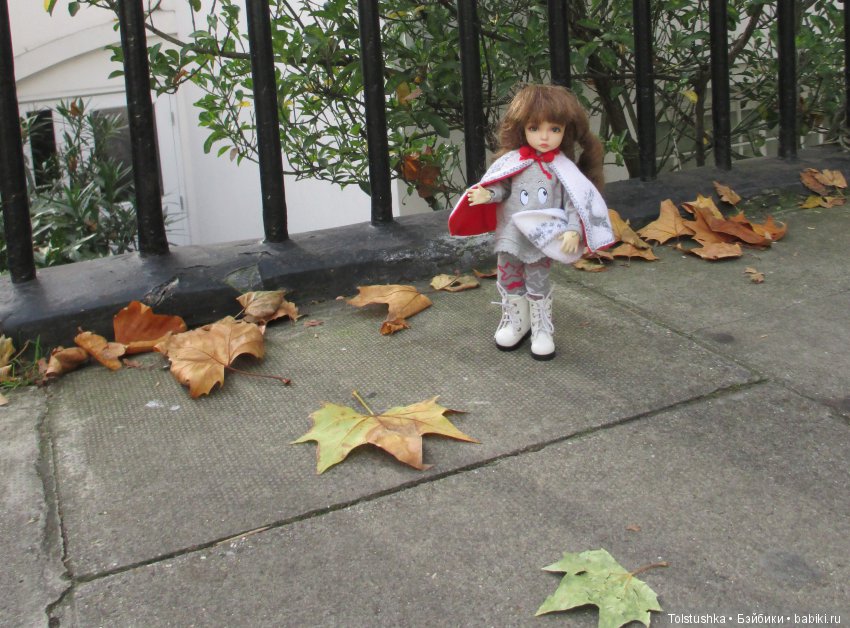 Do you speak English | Бэйбики Do you speak English — Куклы Iplehouse (Иплхаус): BJD (БЖД) (фото 4)