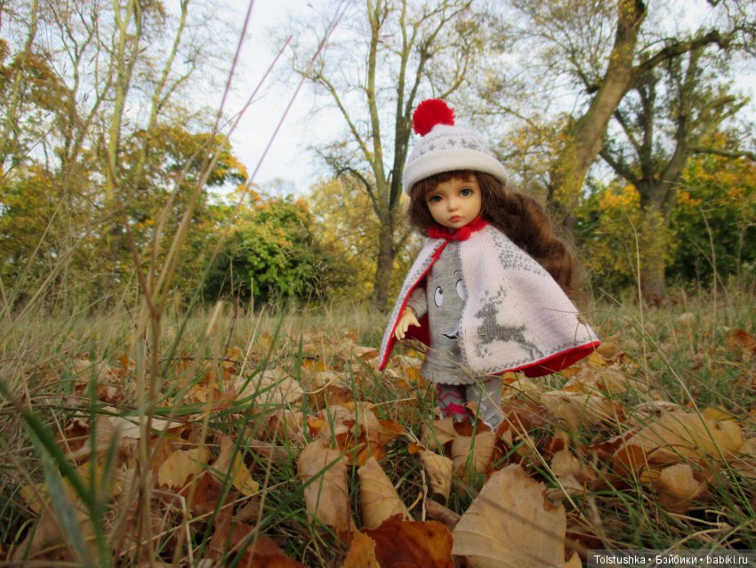 Do you speak English | Бэйбики Do you speak English — Куклы Iplehouse (Иплхаус): BJD (БЖД) (фото 9)