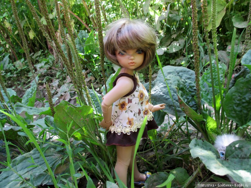 Куклы Iplehouse (Иплхаус): BJD (БЖД)