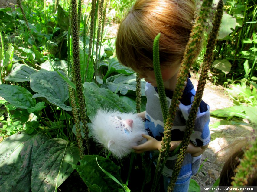 Куклы Iplehouse (Иплхаус): BJD (БЖД)