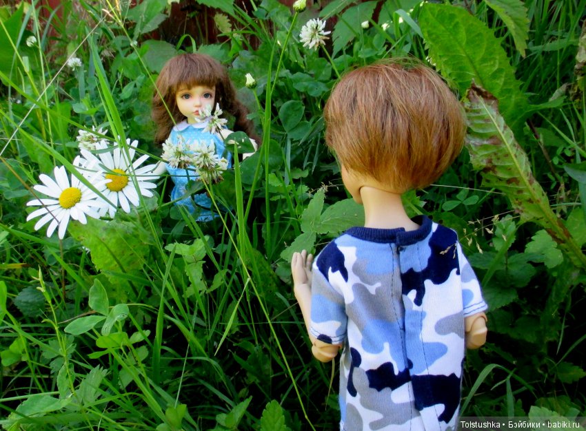 Куклы Iplehouse (Иплхаус): BJD (БЖД)