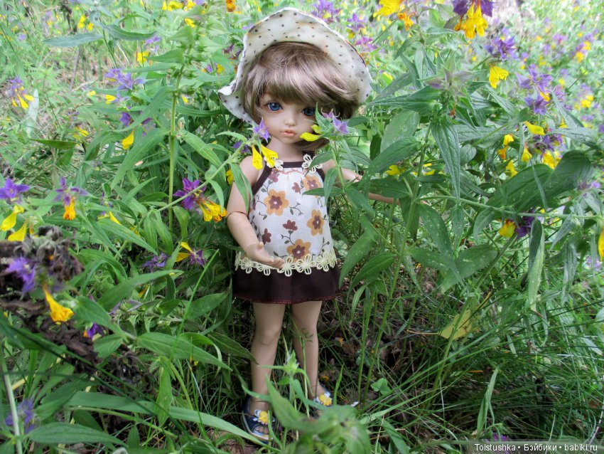 Куклы Iplehouse (Иплхаус): BJD (БЖД)