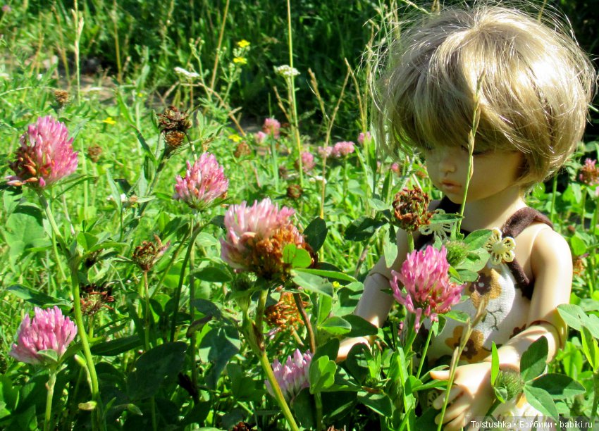 Куклы Iplehouse (Иплхаус): BJD (БЖД) (фото 9)