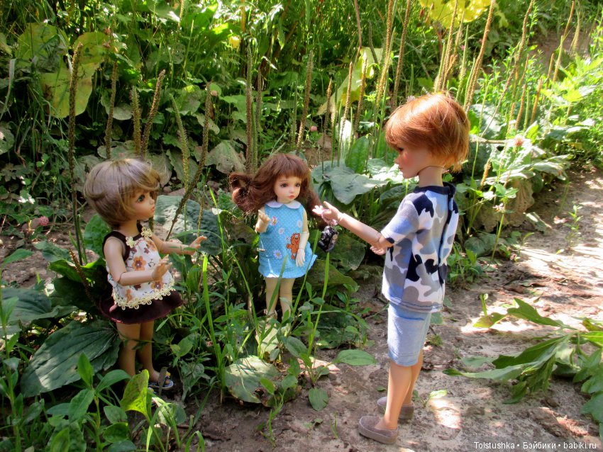 Куклы Iplehouse (Иплхаус): BJD (БЖД)