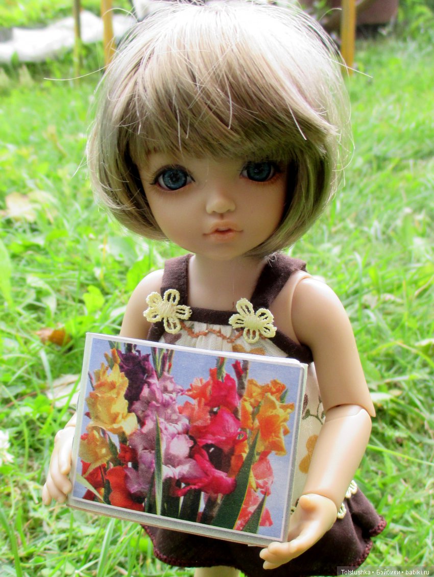 Куклы Iplehouse (Иплхаус): BJD (БЖД) (фото 2)