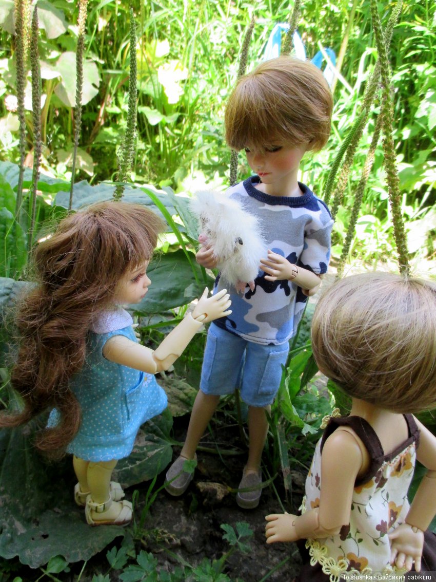 Куклы Iplehouse (Иплхаус): BJD (БЖД)