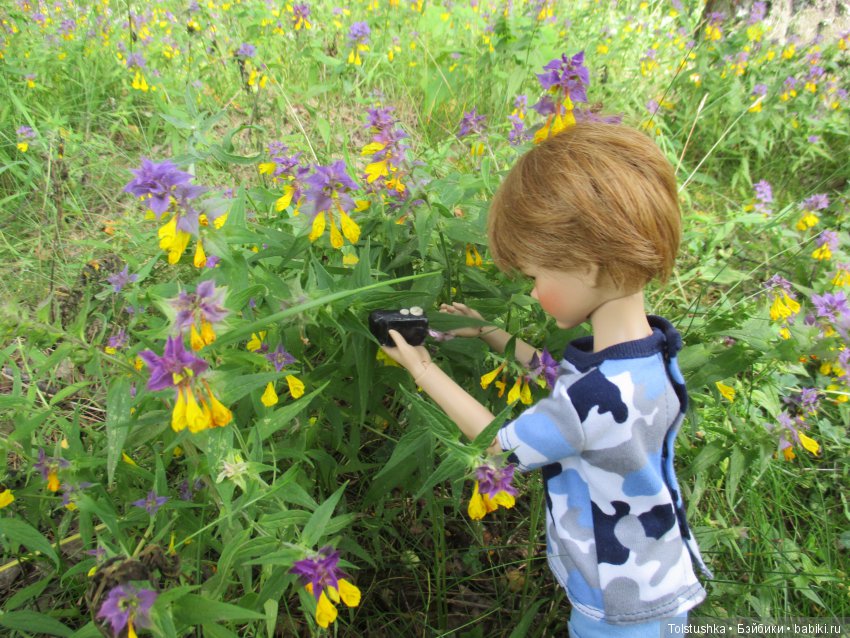 Куклы Iplehouse (Иплхаус): BJD (БЖД)