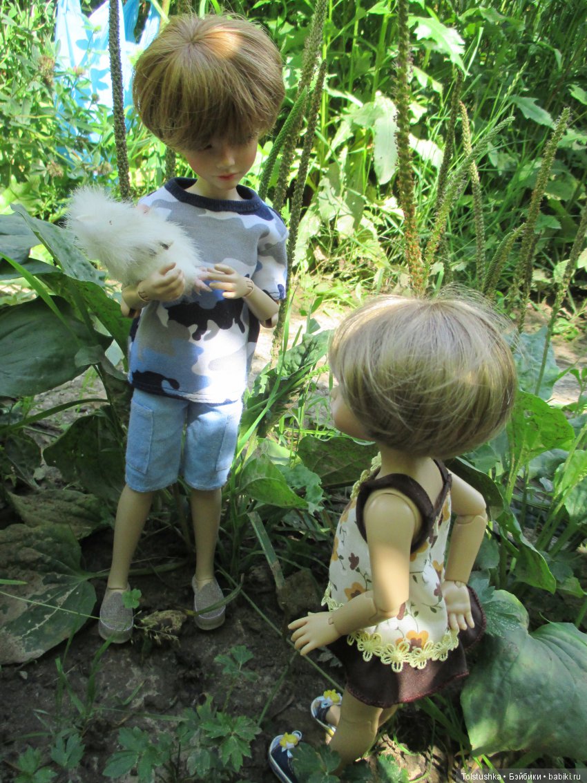 Куклы Iplehouse (Иплхаус): BJD (БЖД)