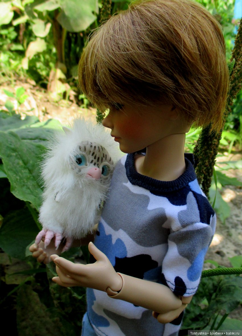 Куклы Iplehouse (Иплхаус): BJD (БЖД)