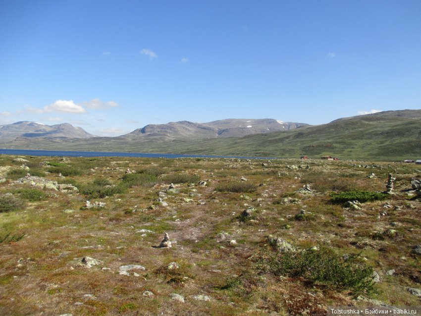 Приглашаем на экскурсию — Куклы Iplehouse (Иплхаус): BJD (БЖД)