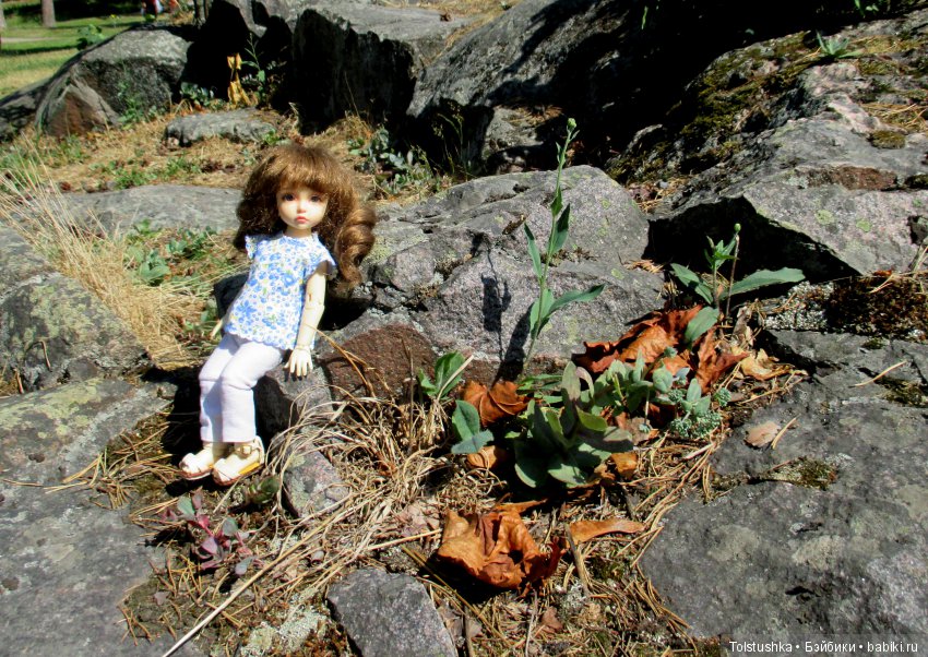 Приглашаем на экскурсию — Куклы Iplehouse (Иплхаус): BJD (БЖД) (фото 6)