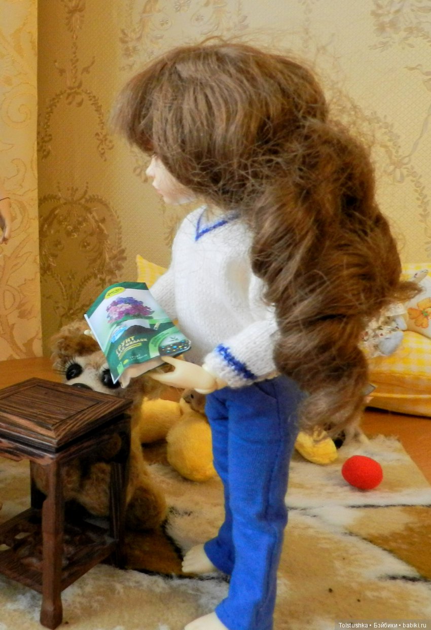 Зимнее чудо — Куклы Iplehouse (Иплхаус): BJD (БЖД) (фото 2)