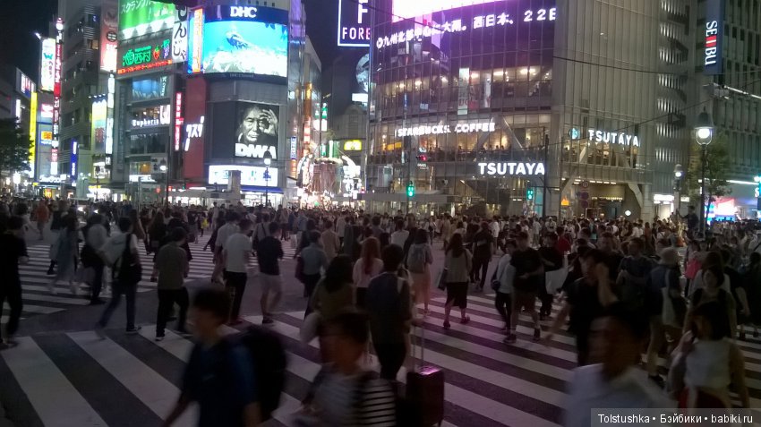 Страна восходящего Солнца. Часть 1 | Бэйбики Страна восходящего Солнца. Часть 1 (фото 8)