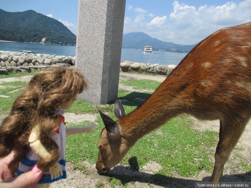 Страна восходящего Солнца, часть 2 | Бэйбики Страна восходящего Солнца, часть 2