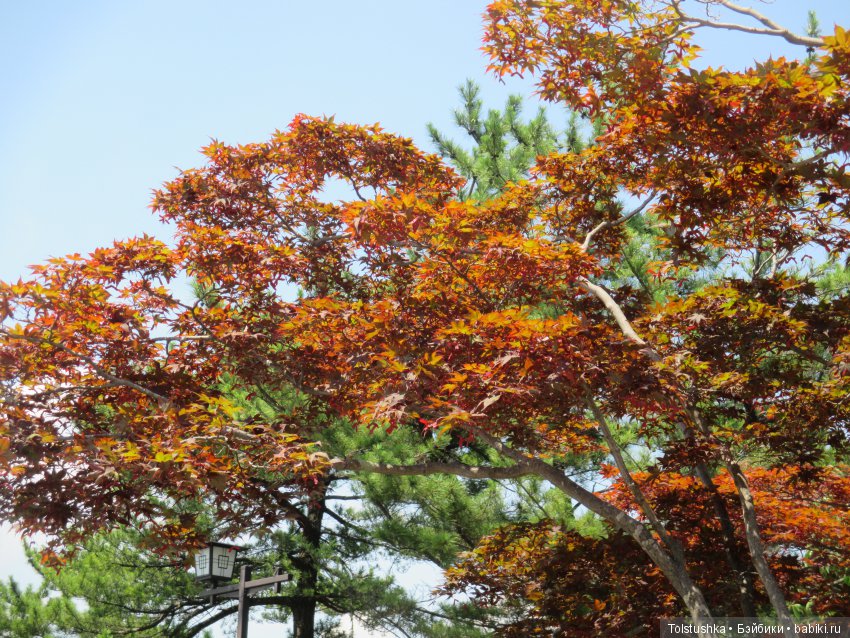 Страна восходящего Солнца, часть 2 | Бэйбики Страна восходящего Солнца, часть 2