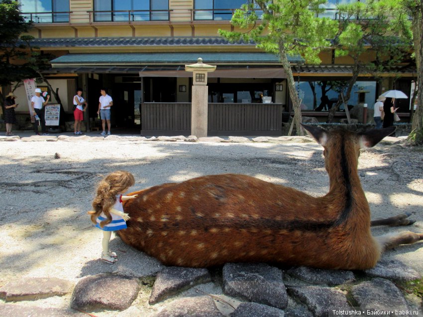 Страна восходящего Солнца, часть 2 | Бэйбики Страна восходящего Солнца, часть 2