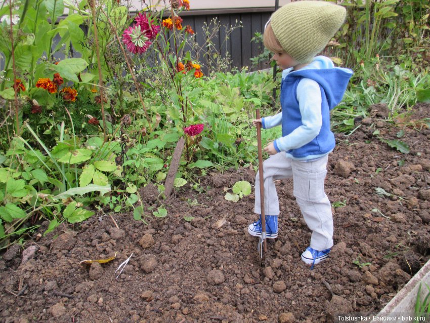 Рябиновый король или осень на даче