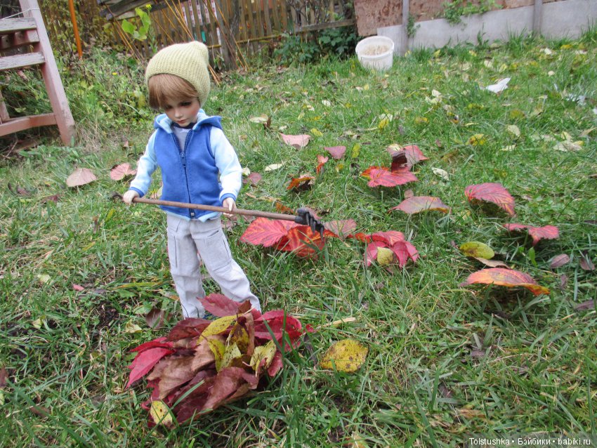 Рябиновый король или осень на даче