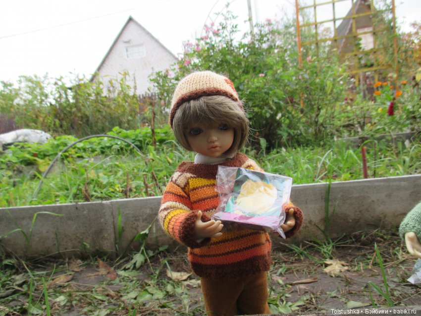 Рябиновый король или осень на даче (фото 9)