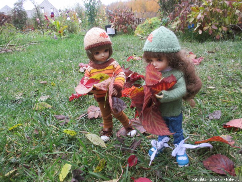 Рябиновый король или осень на даче