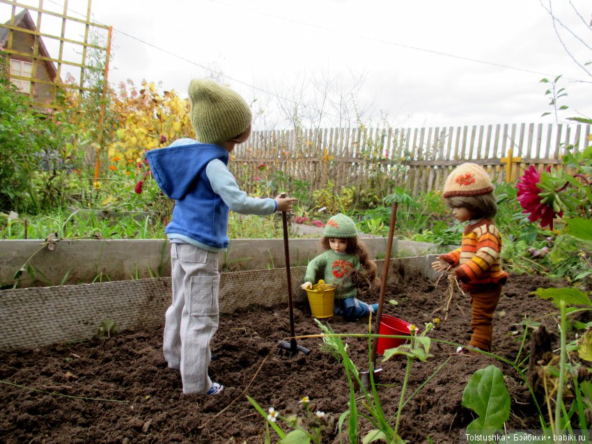 Рябиновый король или осень на даче (фото 4)
