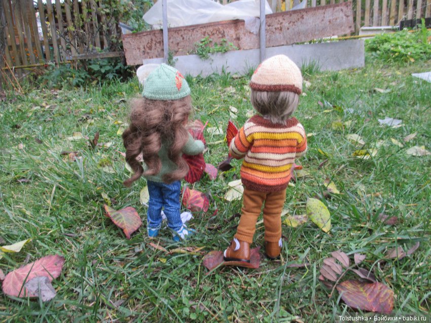 Рябиновый король или осень на даче