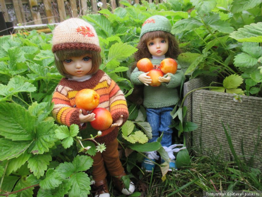 Рябиновый король или осень на даче