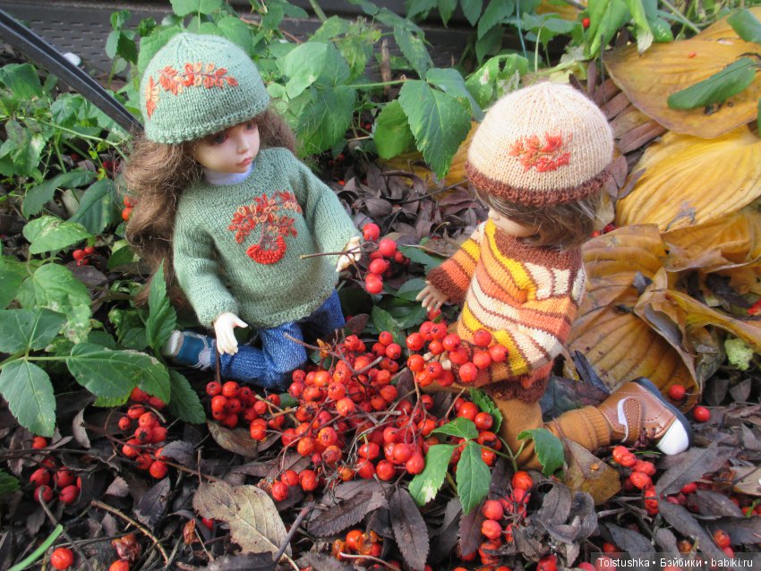 Рябиновый король или осень на даче