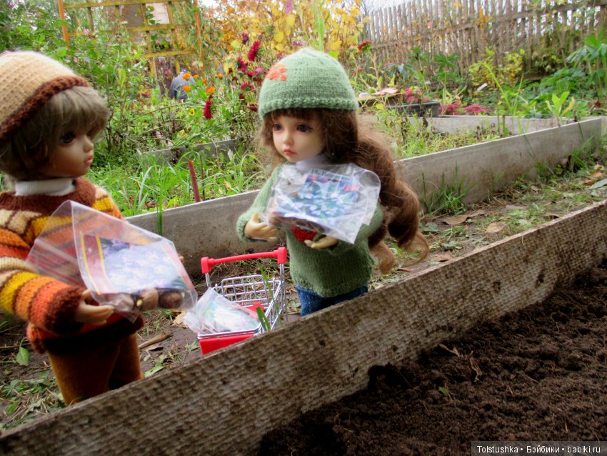 Рябиновый король или осень на даче (фото 7)