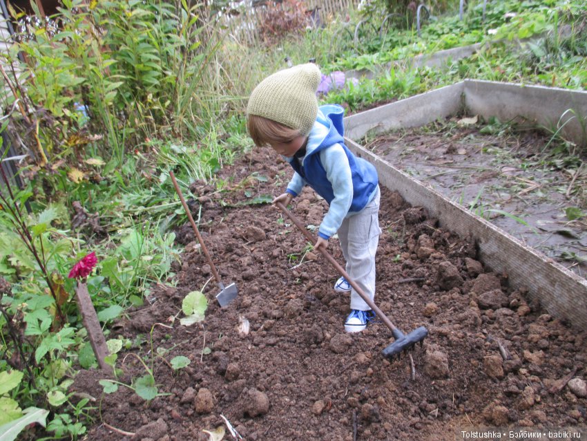 Рябиновый король или осень на даче (фото 2)