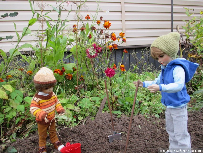 Рябиновый король или осень на даче (фото 3)